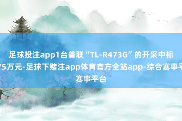 足球投注app1台普联“TL-R473G”的开采中标价75万元-足球下赌注app体育官方全站app-综合赛事平台