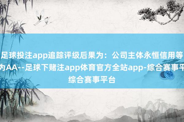 足球投注app追踪评级后果为:公司主体永恒信用等第为AA--足球下赌注app体育官方全站app-综合赛事平台