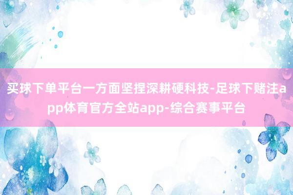 买球下单平台一方面坚捏深耕硬科技-足球下赌注app体育官方全站app-综合赛事平台