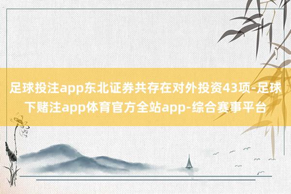 足球投注app东北证券共存在对外投资43项-足球下赌注app体育官方全站app-综合赛事平台