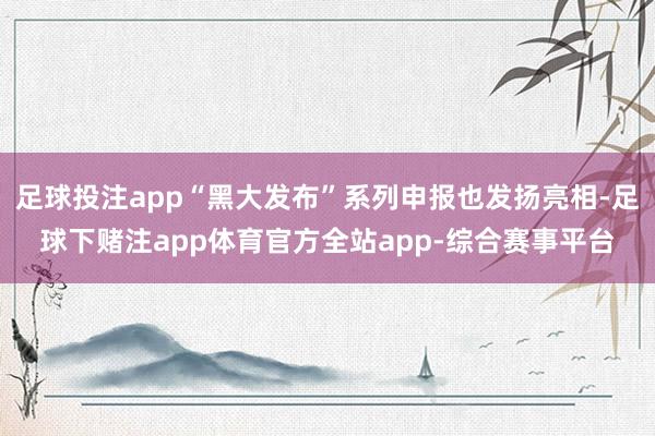 足球投注app“黑大发布”系列申报也发扬亮相-足球下赌注app体育官方全站app-综合赛事平台