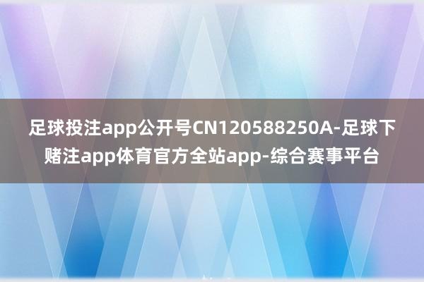足球投注app公开号CN120588250A-足球下赌注app体育官方全站app-综合赛事平台