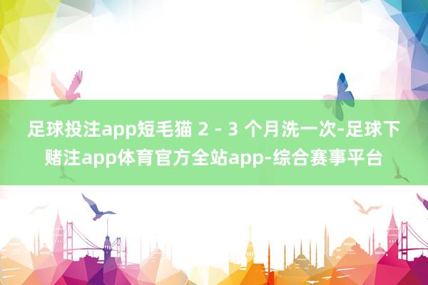 足球投注app短毛猫 2 - 3 个月洗一次-足球下赌注app体育官方全站app-综合赛事平台
