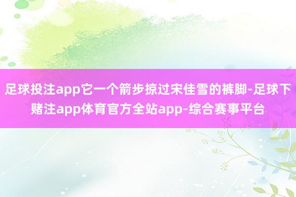 足球投注app它一个箭步掠过宋佳雪的裤脚-足球下赌注app体育官方全站app-综合赛事平台