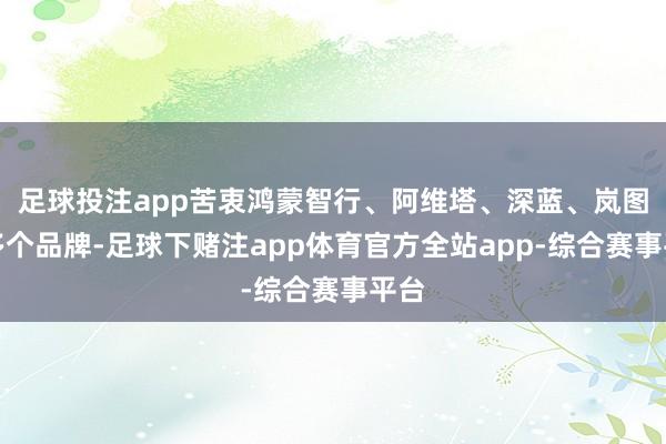 足球投注app苦衷鸿蒙智行、阿维塔、深蓝、岚图等多个品牌-足球下赌注app体育官方全站app-综合赛事平台