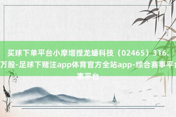 买球下单平台小摩增捏龙蟠科技（02465）316.5万股-足球下赌注app体育官方全站app-综合赛事平台