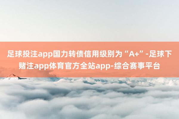 足球投注app国力转债信用级别为“A+”-足球下赌注app体育官方全站app-综合赛事平台
