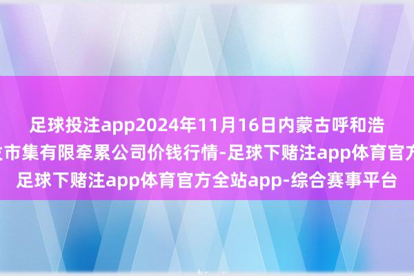 足球投注app2024年11月16日内蒙古呼和浩特市东瓦窑农副家具批发市集有限牵累公司价钱行情-足球下赌注app体育官方全站app-综合赛事平台