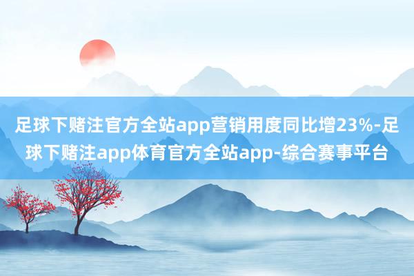 足球下赌注官方全站app营销用度同比增23%-足球下赌注app体育官方全站app-综合赛事平台