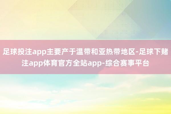 足球投注app主要产于温带和亚热带地区-足球下赌注app体育官方全站app-综合赛事平台