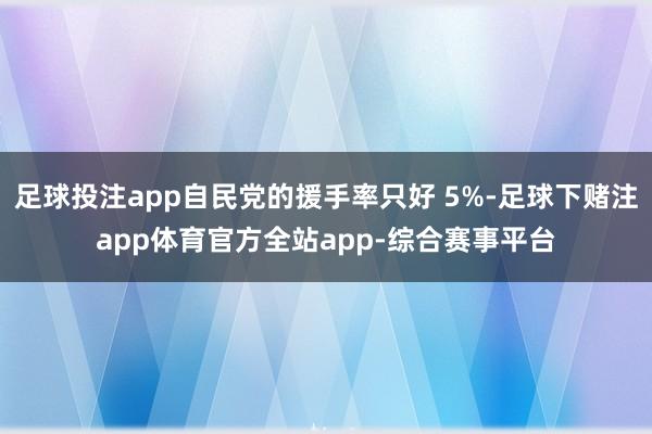 足球投注app自民党的援手率只好 5%-足球下赌注app体育官方全站app-综合赛事平台