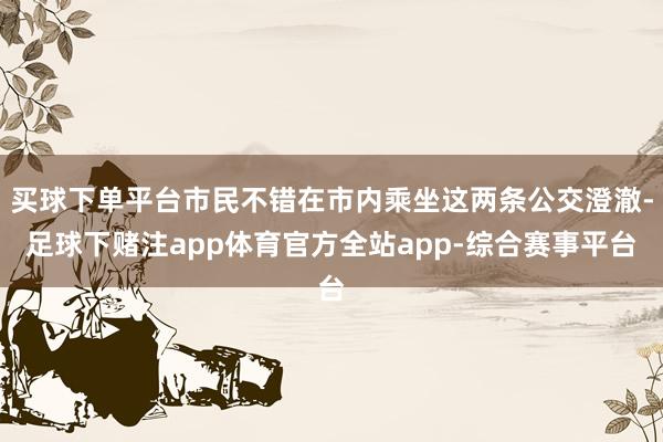 买球下单平台市民不错在市内乘坐这两条公交澄澈-足球下赌注app体育官方全站app-综合赛事平台