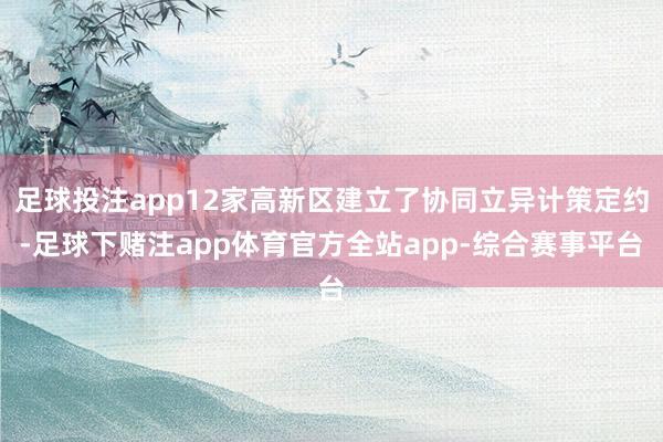 足球投注app12家高新区建立了协同立异计策定约-足球下赌注app体育官方全站app-综合赛事平台
