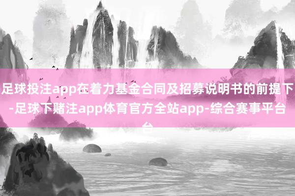 足球投注app在着力基金合同及招募说明书的前提下-足球下赌注app体育官方全站app-综合赛事平台