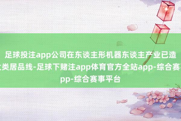 足球投注app公司在东谈主形机器东谈主产业已造成两大类居品线-足球下赌注app体育官方全站app-综合赛事平台