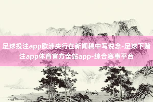 足球投注app欧洲央行在新闻稿中写说念-足球下赌注app体育官方全站app-综合赛事平台